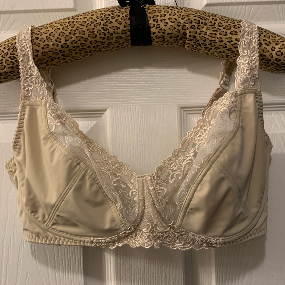 BARELY BREEZIES BRA SZ 38 DD NUDE/BEIGE WITH LACE TRIM+STRAPS SHEER INSET 3 HOOK